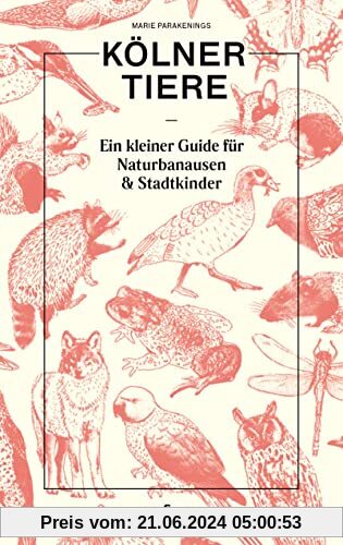 Kölner Tiere: Ein kleiner Guide für Naturbanausen und Stadtkinder